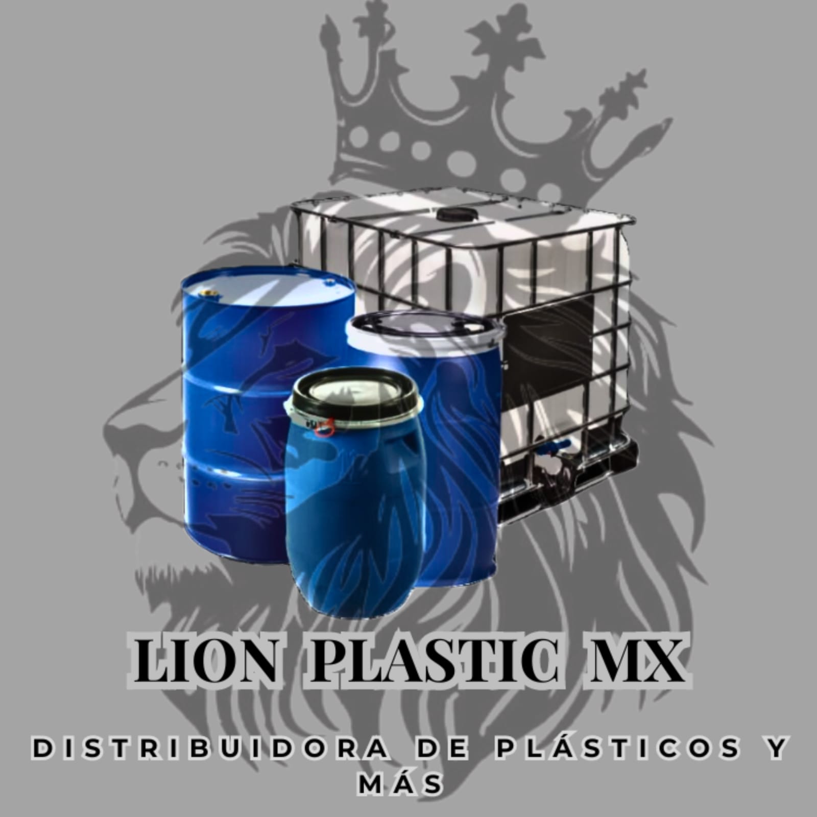 lionplasticmx.com